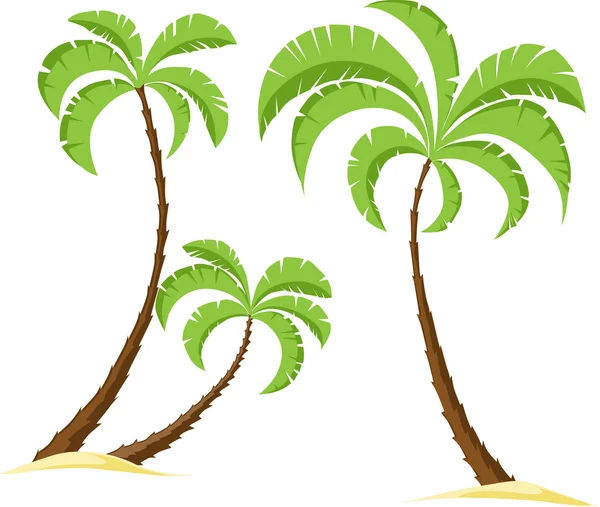 Palmboom geïsoleerd op een witte achtergrond - vectorillustratie — Stockvector