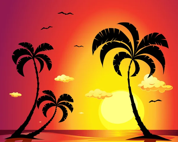 Playa con palmeras al atardecer - vector — Vector de stock