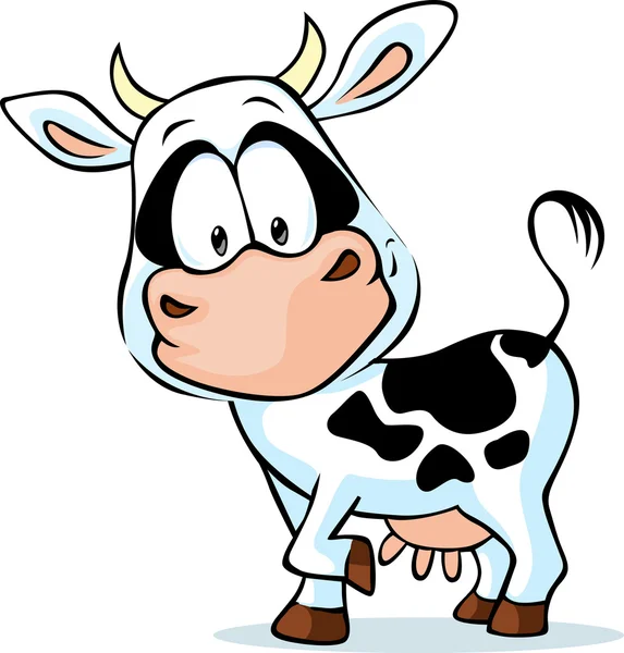 Black and white young cow - vector illustration — Stock Vector