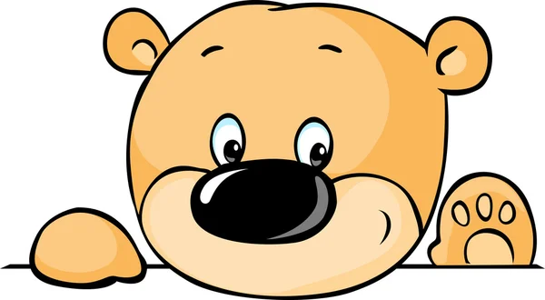 Lindo oso de peluche asomándose por detrás de la superficie blanca - vector — Archivo Imágenes Vectoriales