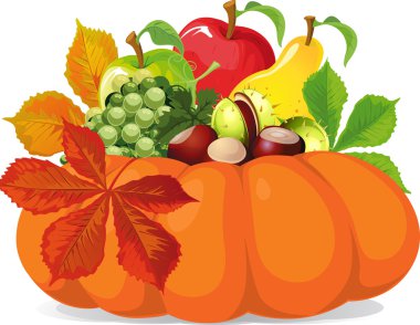 Kabak ile sonbahar yaprakları - vektör çizim