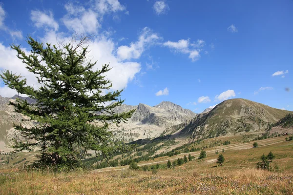 Naturel boş dağlar