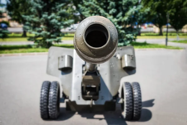 Muilkorf Van Een Artillerie Geweer — Stockfoto