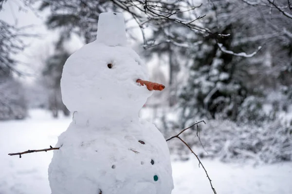 Pupazzo Neve Con Una Carota Nel Naso Nel Parco Inverno — Foto Stock