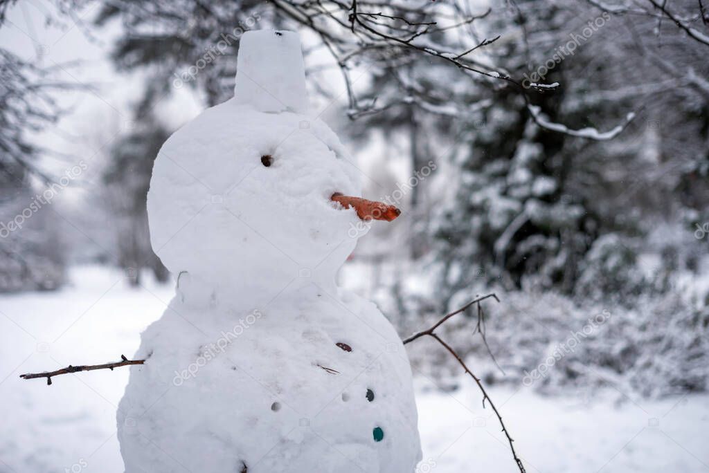 Snowman with a carrot in his nose in the park in winter.