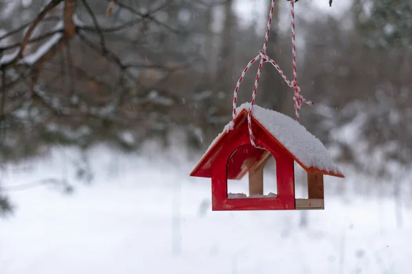 Alimentatore di uccelli in legno rosso nella foresta invernale. — Foto Stock