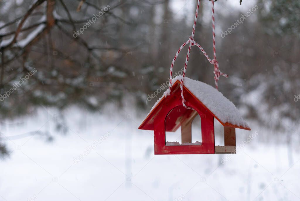 Red wooden bird feeder in the winter forest.