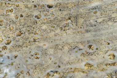 Nehir kıyısının yakınındaki suda köpük görünüyor..