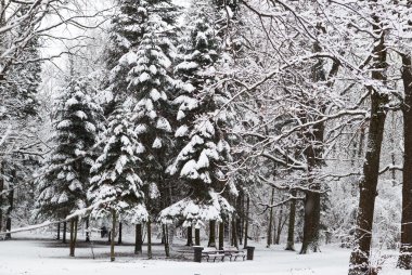 Parkta güzel kış karı