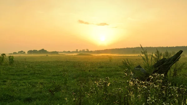 Sunrise with fog — Stock Photo, Image