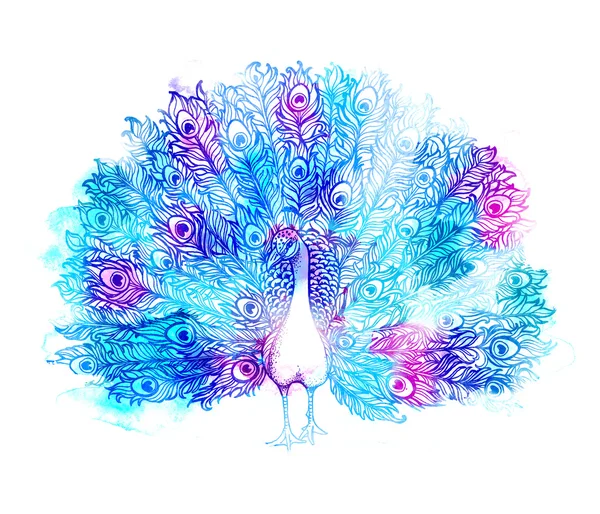 Beautiful Handdrawn Peacock bird consist many details. — Stock Photo, Image