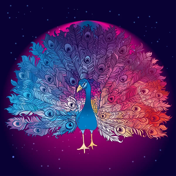 Tavus kuşu kuş vektör güzel el çekilmiş 