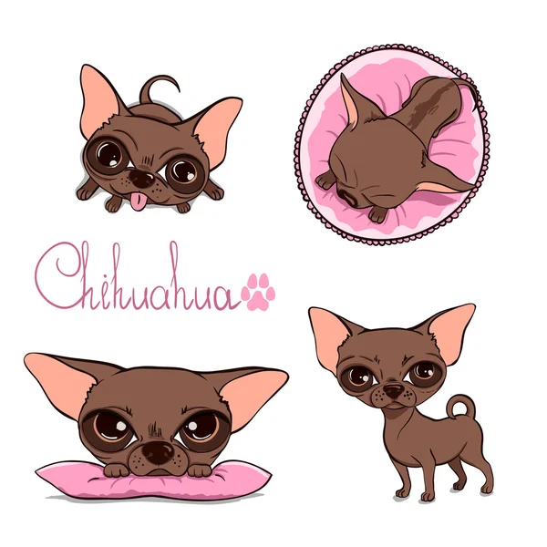 Şirin bir Chihuahua vektör karikatür çizim