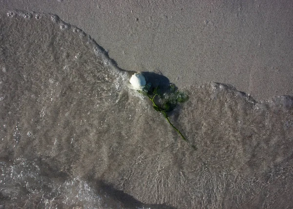 Salito Sull Acqua Spingendo Dal Mare — Foto Stock