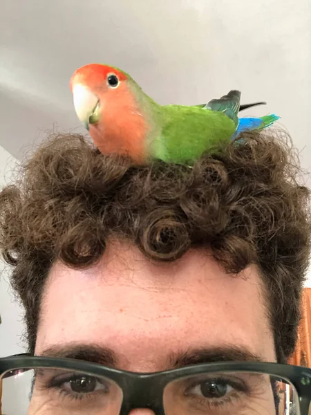 Kafasında Kuş Olan Kıvırcık Saçlı Bir Adam — Stok fotoğraf