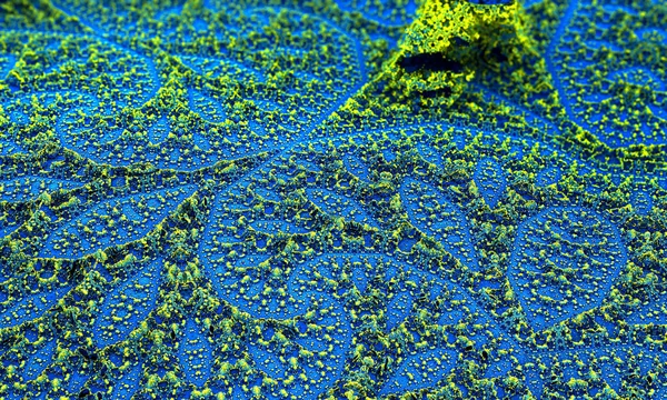 Bakteri ve virüsleri cilt yüzeyi