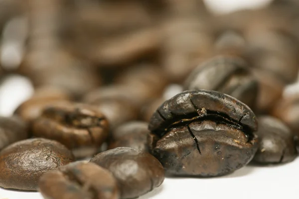 Primer plano granos de café frescos y aislados sobre fondo blanco, material fresco del mercado, bebida saludable y bebida internacional . — Foto de Stock