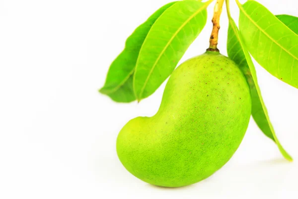 Yeşil mango izole beyaz arka plan, popüler ya da uluslararası meyve, sağlıklı meyve. — Stok fotoğraf