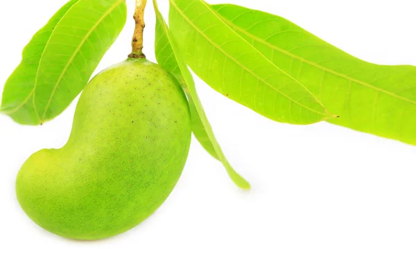 Mango verde aislado sobre fondo blanco, fruta popular o internacional, fruta sana . — Foto de Stock