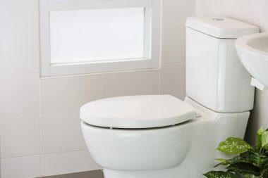 Oda, tuvalet, tuvalet temizlik özel tuvalet modern oda, iç ekipman ve modern tuvalet, sıvı yıkama temizlik modern ev, beyaz tuvalet kase beyaz tuvalet.