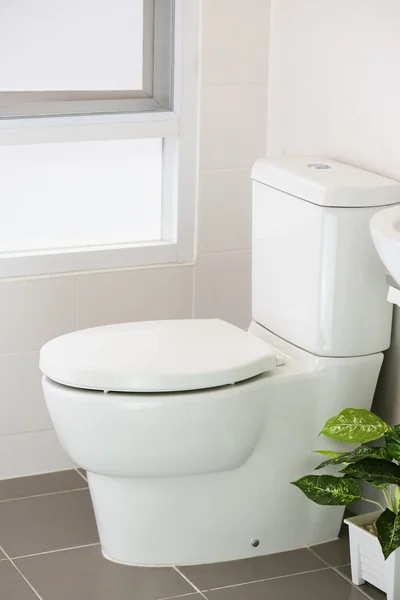 White toilet in modern home, white toilet bowl in cleaning room, flushing liquid in toilet, private toilet in modern room, interior equipment and modern restroom, cleaning toilet. — Stock Photo, Image