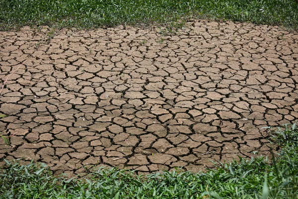 cracked ground background and empty area for text, dry ground and hot surface of ground in summer, hot ambient around cracked surface because greenhouse effected. no any life stay around the area.