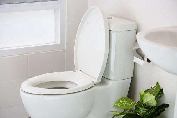 Oda, tuvalet, tuvalet temizlik özel tuvalet modern oda, iç ekipman ve modern tuvalet, sıvı yıkama temizlik modern ev, beyaz tuvalet kase beyaz tuvalet.