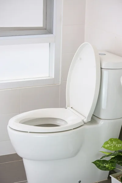 white toilet in modern home, white toilet bowl in cleaning room, flushing liquid in toilet, private toilet in modern room, interior equipment and modern restroom, cleaning toilet.