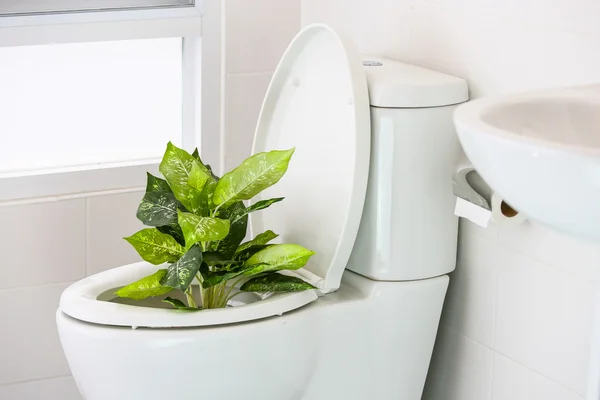 Banheiro branco na casa moderna, vaso sanitário branco na sala de limpeza, líquido de descarga no banheiro, banheiro privativo no quarto moderno, equipamento interior e banheiro moderno, banheiro de limpeza . — Fotografia de Stock