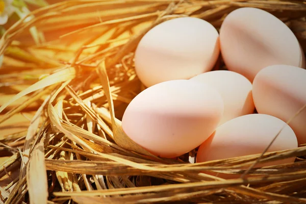Uova in nido in natura o in fattoria, Uova fresche per cucinare e materiale in cucina, Nuovo sfondo di uova per la rivista alimentare, Cibo sano per anziani o paziente che aiuterà a rinfrescare la vita . — Foto Stock