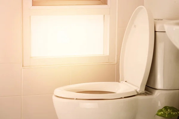 Oda, tuvalet, tuvalet temizlik özel tuvalet modern oda, iç ekipman ve modern tuvalet, sıvı yıkama temizlik modern ev, beyaz tuvalet kase beyaz tuvalet. — Stok fotoğraf