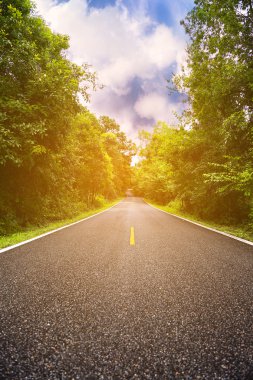 Köy yolunda şehre, Doğa, dağ ve orman bir yere seyahat için Road, orman ve arabasız yayla yolu veya asfalt yol yolcu yolculuk şekilde bölge arasında.