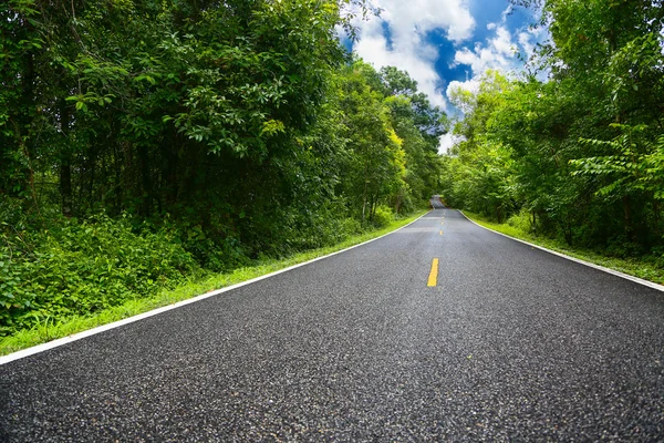 Strada di campagna tra il quartiere alla città con movimento sfocato, Viaggio modo di viaggiatore per la natura, Strada in montagna e la foresta per viaggiare da qualche parte, Strada asfaltata nella foresta e senza auto . — Foto Stock