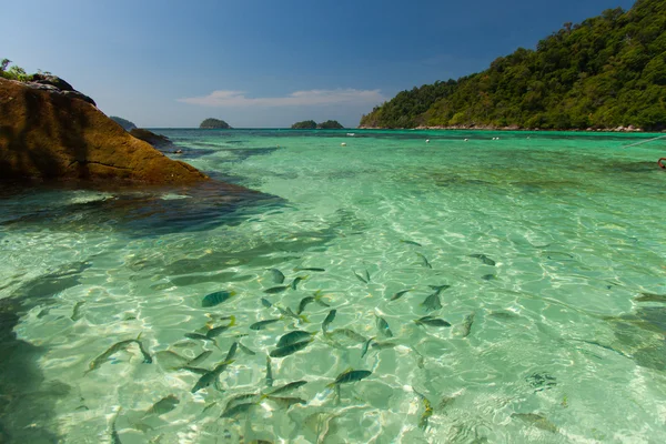 Vue aérienne de la belle plage de Koh Lipe contre le ciel bleu à Satun, Thaïlande, Eau claire et ciel bleu. Île de Lipe, Thaïlande . — Photo