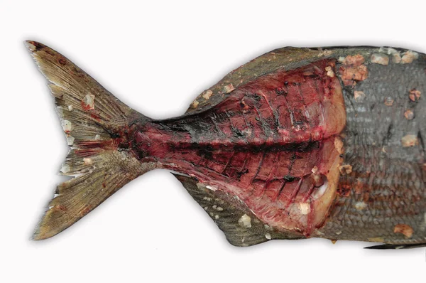Čerstvé ryby izolovat na bílém zázemí, filé z ryb — Stock fotografie
