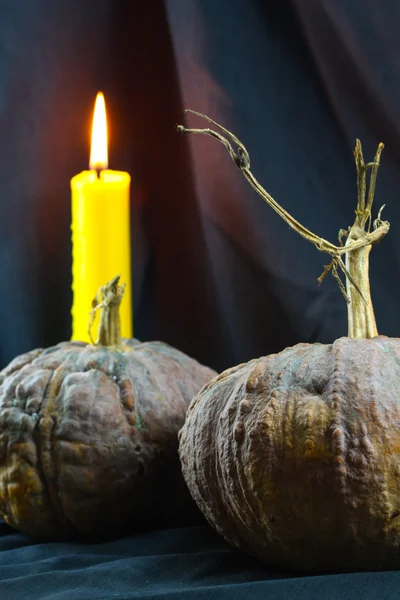 Mänskliga kranier och pumpa på svart bakgrund, Halloween dagen bakgrund. — Stockfoto