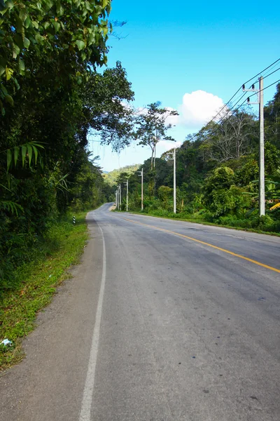 A country road running through green fields.winding road — Stock Photo, Image