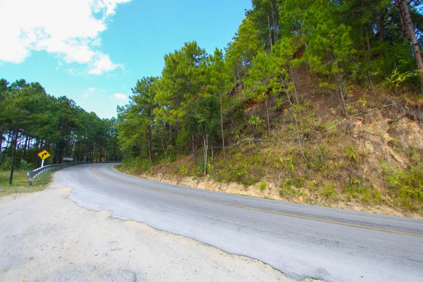 A country road running through green fields.winding road — Stock Photo, Image