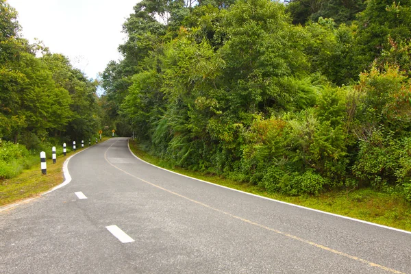 A country road running through green fields.winding road — Stock Photo, Image