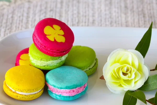Macarons colorés mis sur la table, macarons colorés français traditionnels, Macarons sucrés . — Photo