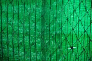 metin için alanı olan yeşil soyut arkaplan.