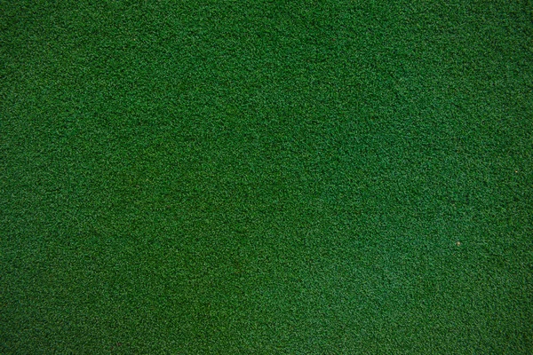 绿草与文本背景的空白区域。自然背景. — 图库照片
