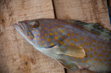 Ahşap zemin, sağlıklı gıdalar arka plan üzerine denizden taze balık.