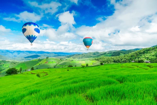 Balloon flying on rice field, Rice field in mountain or rice terrace in the nature, Relax day in beautiful location.