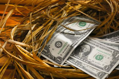 nest yumurta Doları banknot, artan iş ve genesis, yeni banknotlar, iş kavramı başlayan iş.