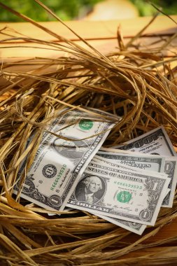 nest yumurta Doları banknot, artan iş ve genesis, yeni banknotlar, iş kavramı başlayan iş.