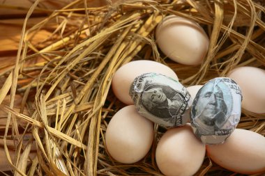 nest yumurta Doları banknot, artan iş ve genesis, yeni banknotlar, iş kavramı başlayan iş.