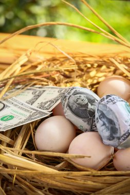 nest yumurta Doları banknot, artan iş ve genesis, yeni banknotlar, iş kavramı başlayan iş.