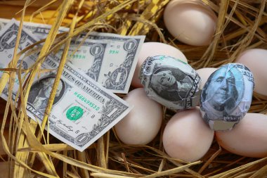 nest yumurta Doları banknot, artan iş ve genesis, yeni banknotlar, iş kavramı başlayan iş.