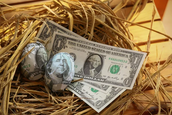 Dollar Banknote in nest eggs, Growing of business and genesis Business, New business starting by banknotes, Business concept. — Stock Photo, Image